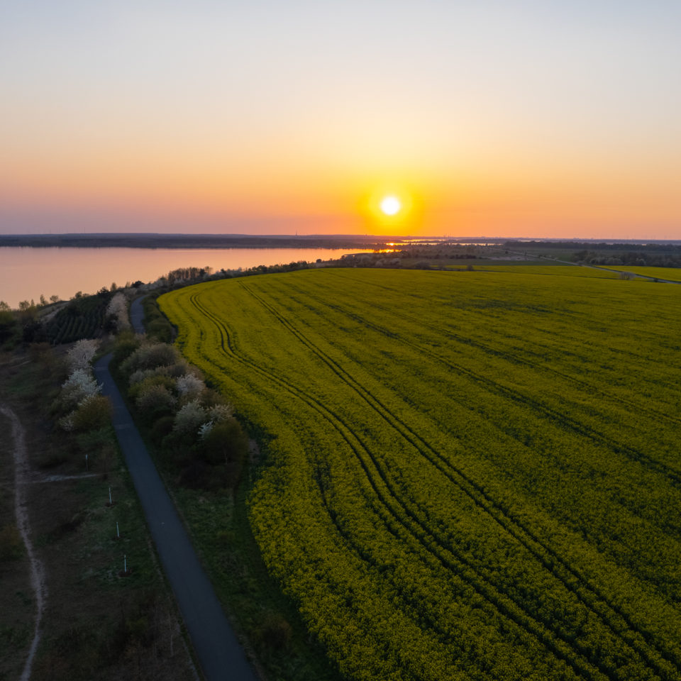 April 2022 – DJI Air 2s – Frühling II