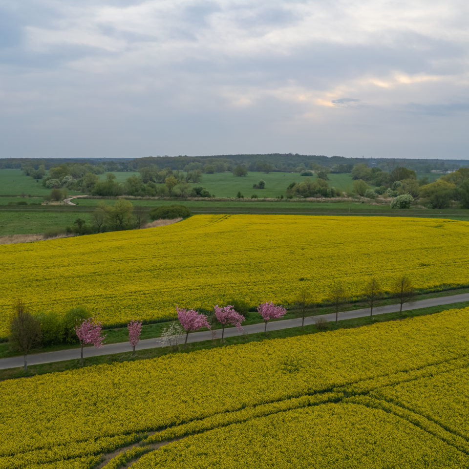 April 2022 – DJI Air 2s – Frühling III