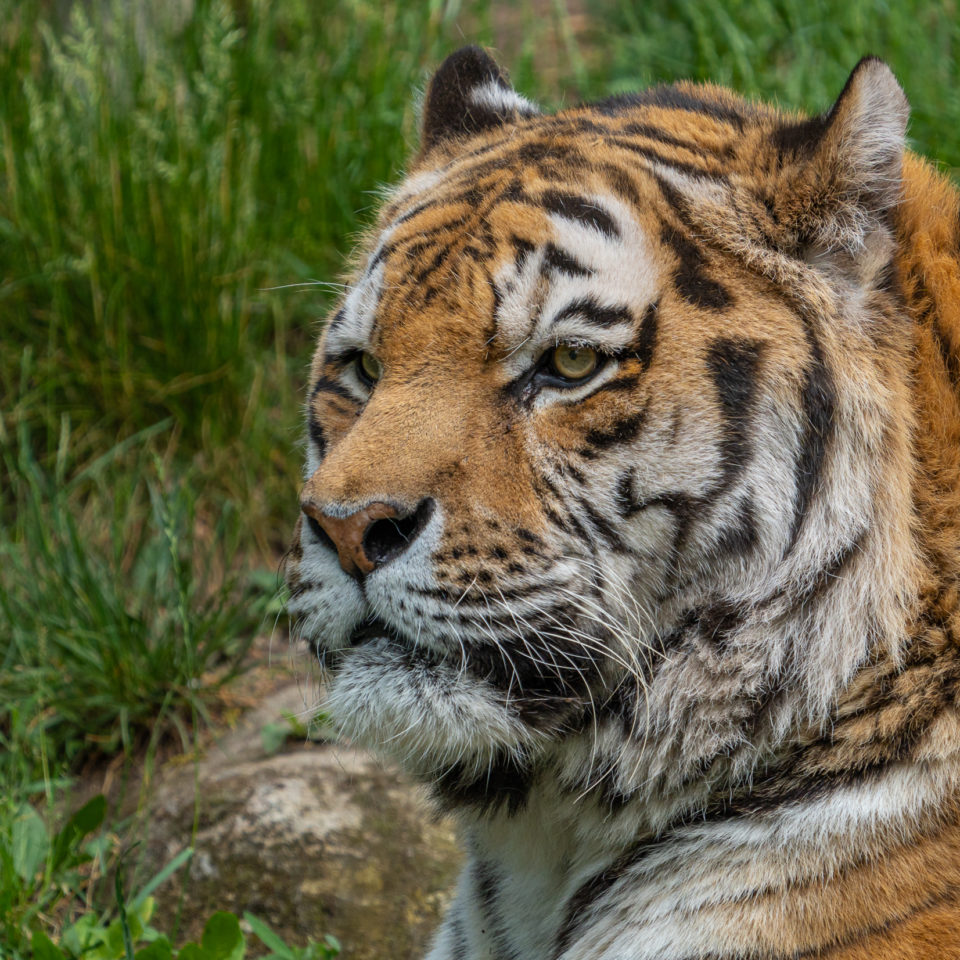 Mai 2022 – Zoo Leipzig