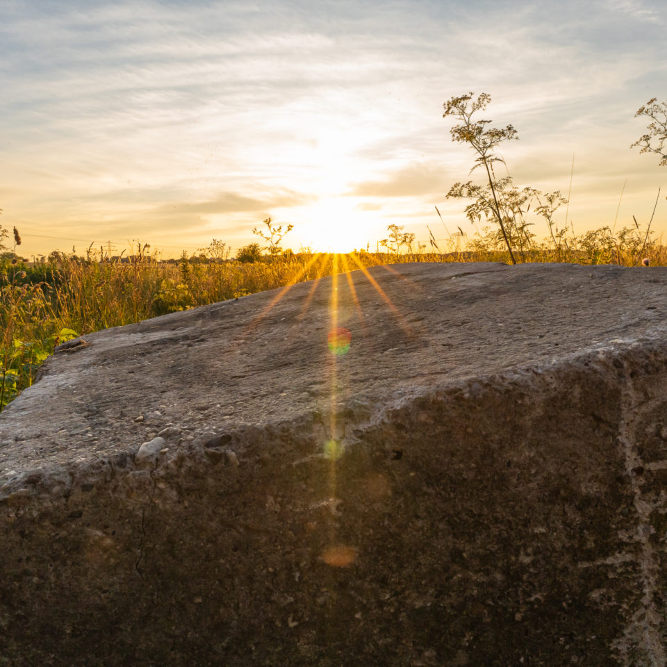 Juni 2022 – Ein Sommerabend daheim