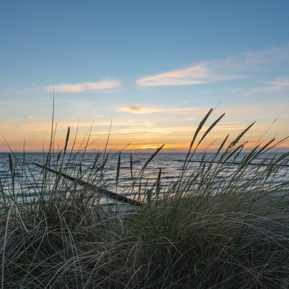 Juli 2022 – Inselurlaub – Hiddensee I