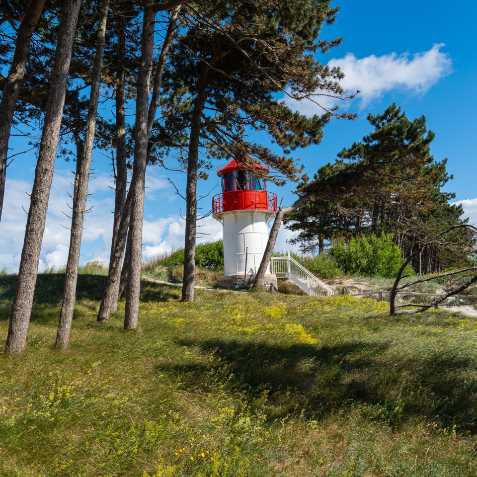 Juli 2022 – Inselurlaub – Hiddensee II