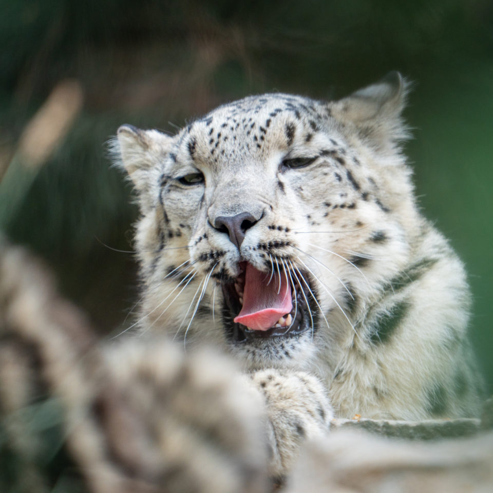 Juli 2022 – Zoo Leipzig