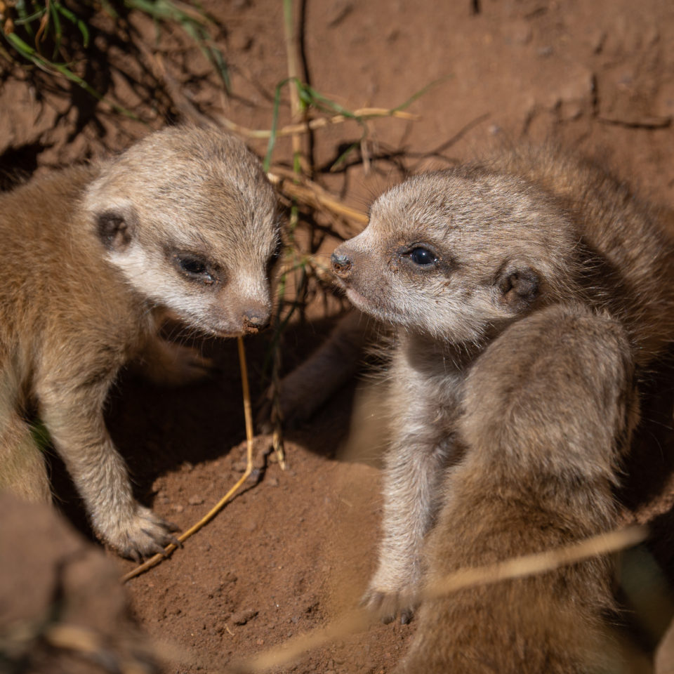 August 2022 – Zoo Leipzig