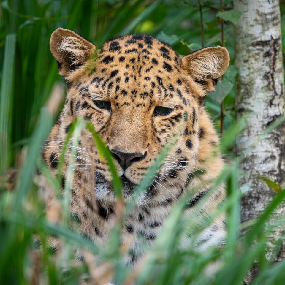 September 2022 – Zoo Leipzig