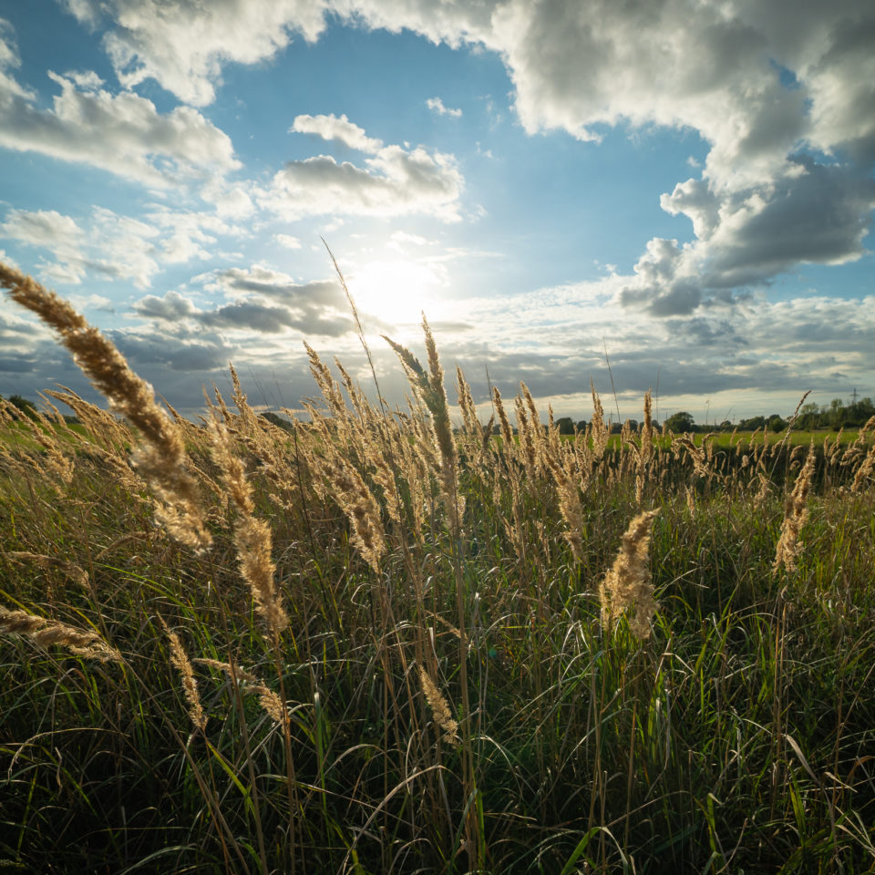 September 2022 – Fotorunde zum Feierabend