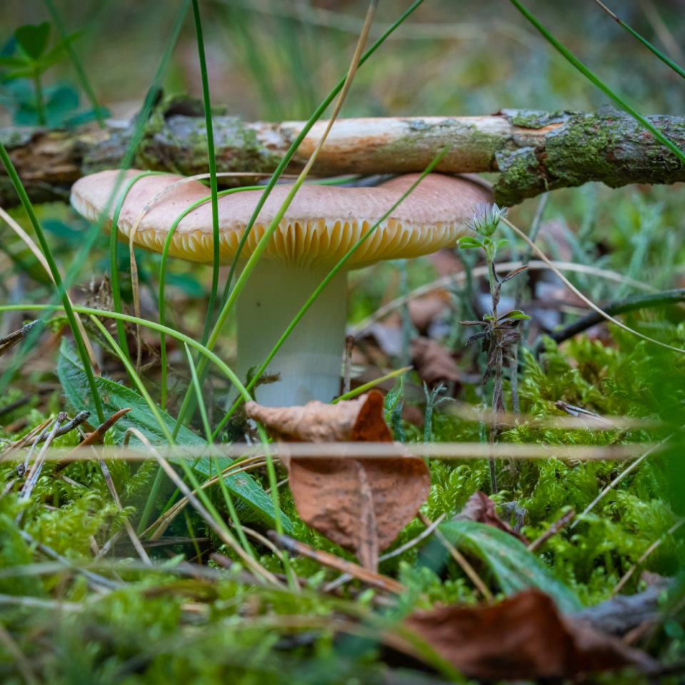 September 2022 – Fototour nach Feierabend