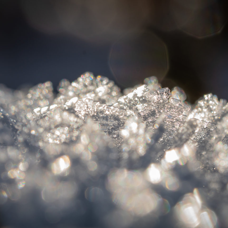 Dezember 2022 – Ein Hauch von Winter