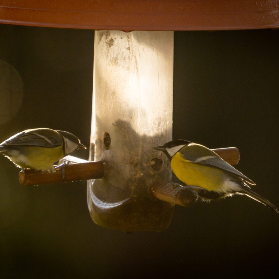 Dezember 2022 – TC am SEL200-600G