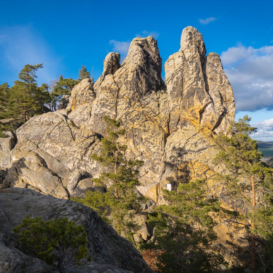 Februar 2023 – Am Hamburger Wappen