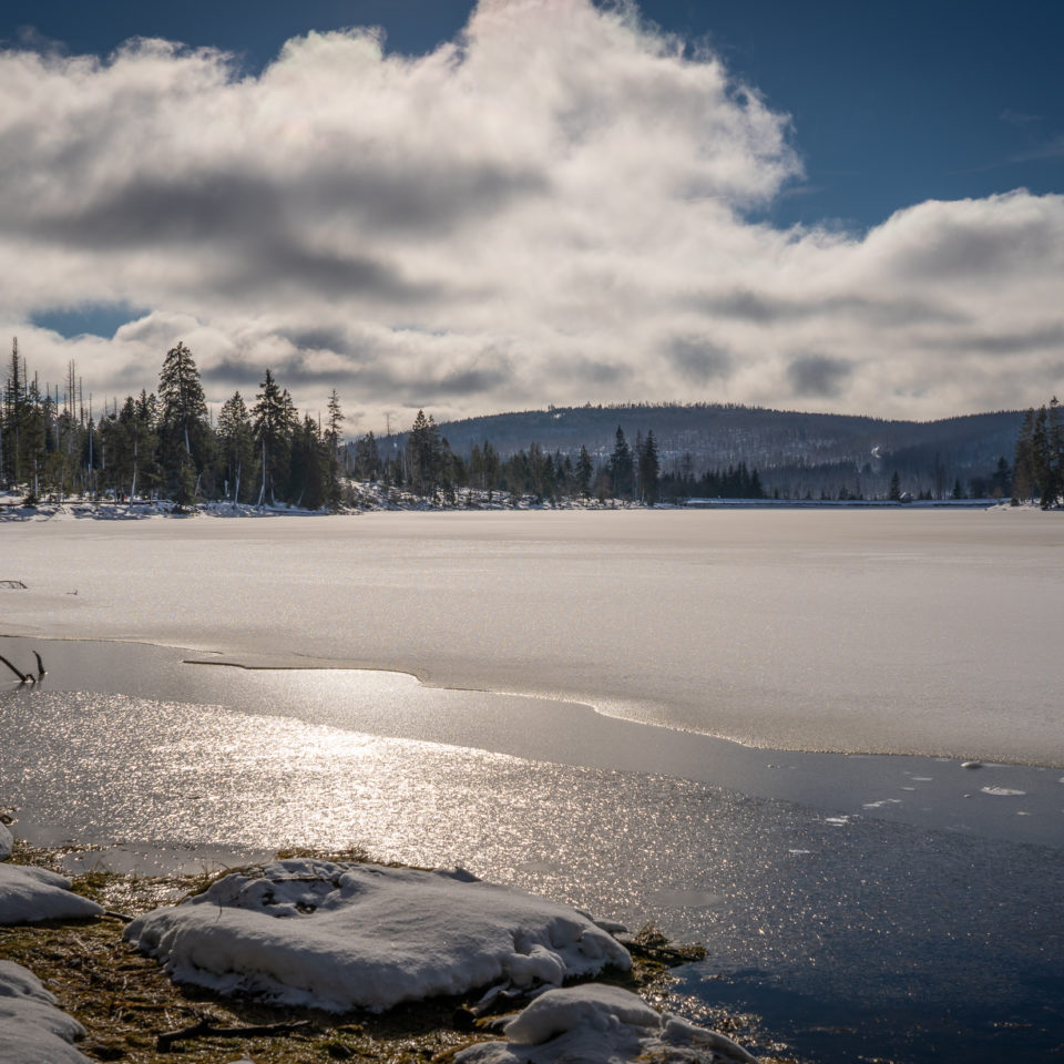 Februar 2023 – Winter am Oderteich