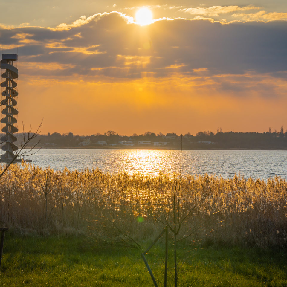 April 2023 – Makrorunde am Morgen