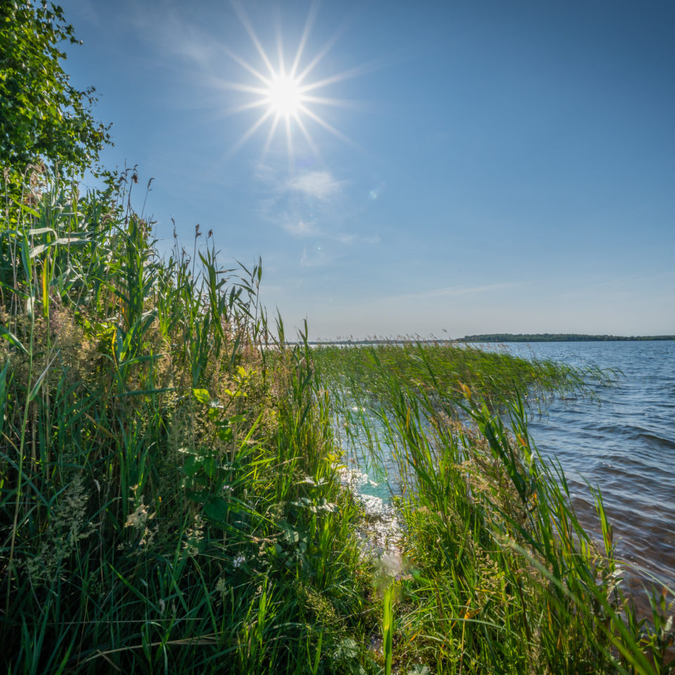 Juli 2023 – UWW – Halbinsel Pouch