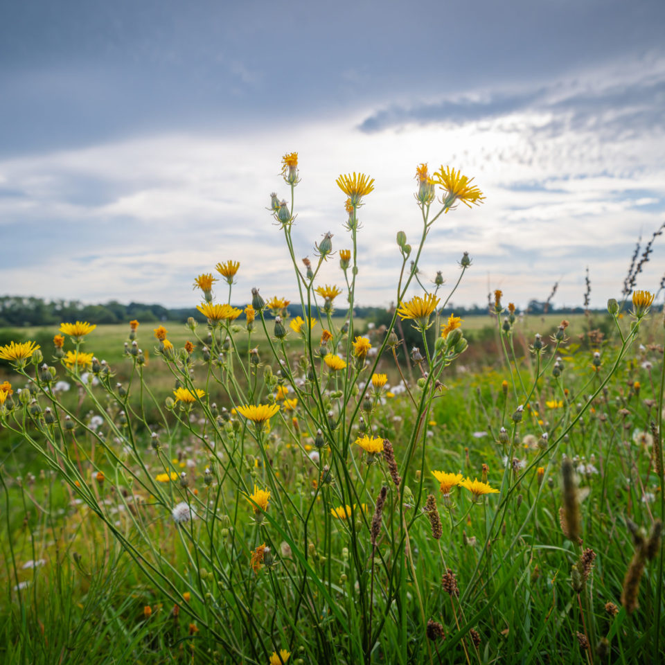 August 2023 – Ultraweitwinkel