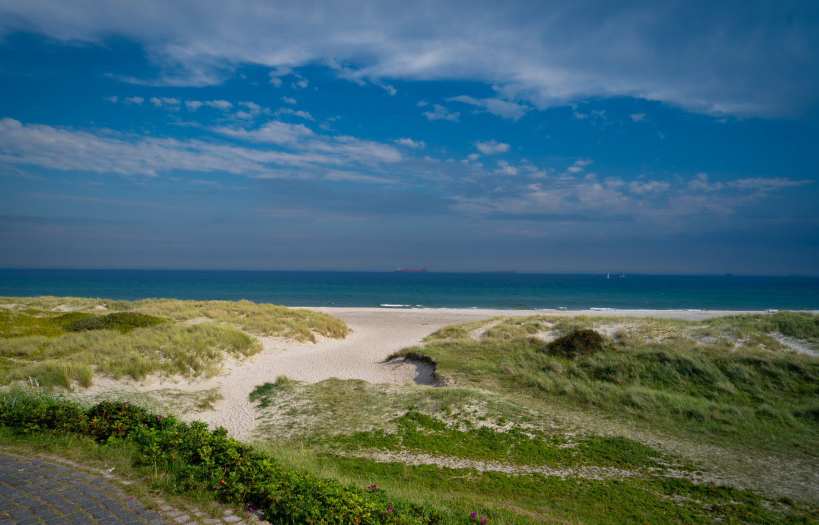 August 2023 – AIDAmar – Skagen