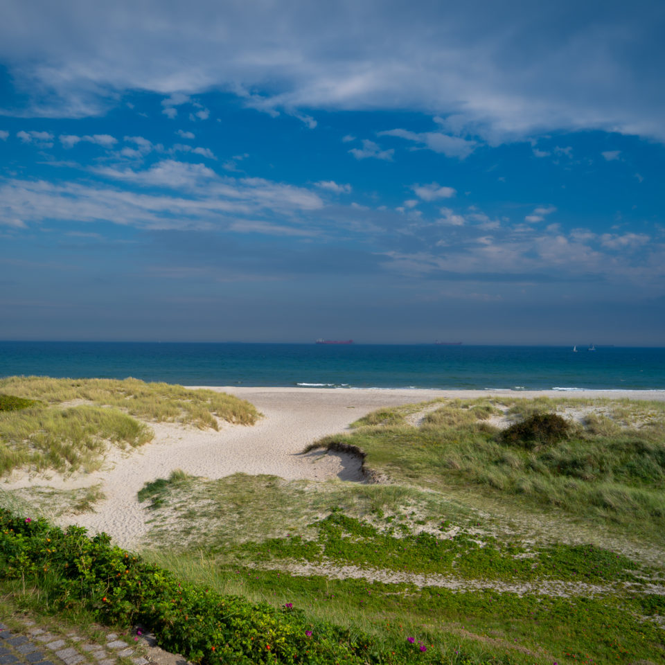 August 2023 – AIDAmar – Skagen