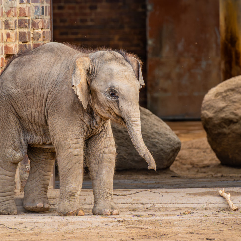 September 2023 – Zoo Leipzig