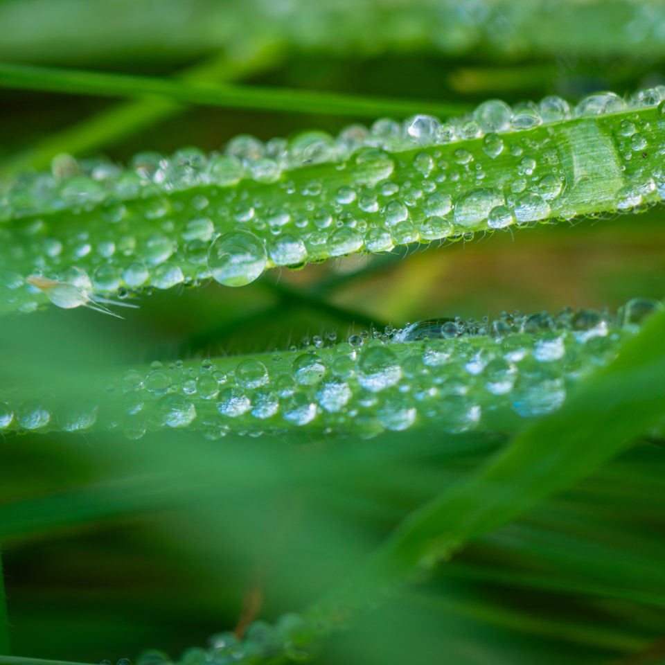 September 2023 – Stadtwald Bitterfeld