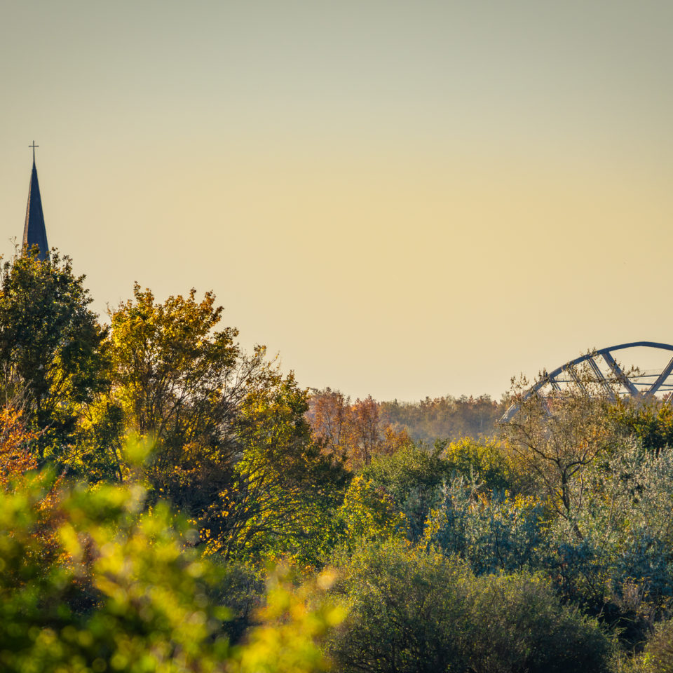 November 2023 – Herbst in den Muldewiesen