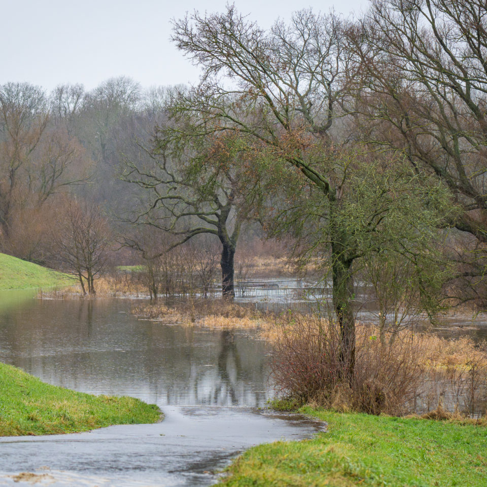 Dezember 2023 – Muldehochwasser I