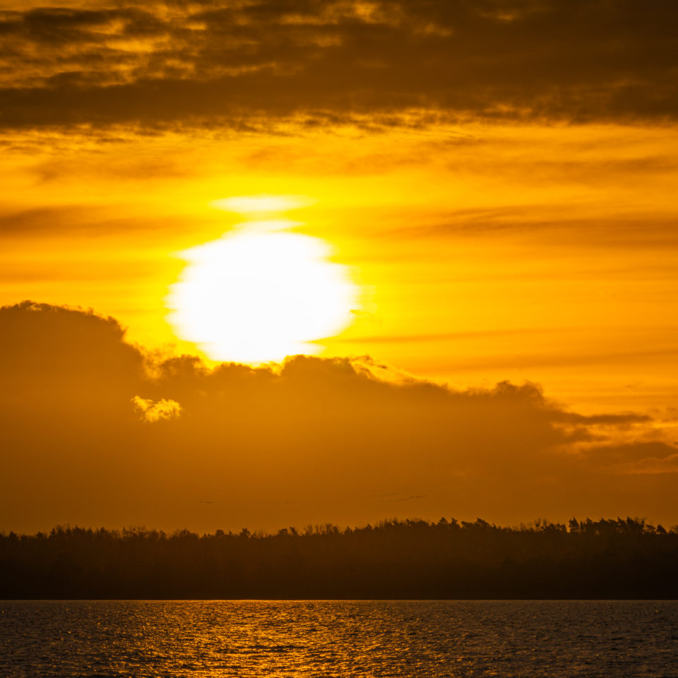 Dezember 2023 – Morgenrunde