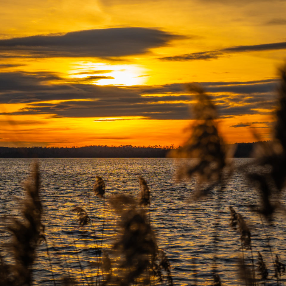 Dezember 2023 – Morgenrunde II