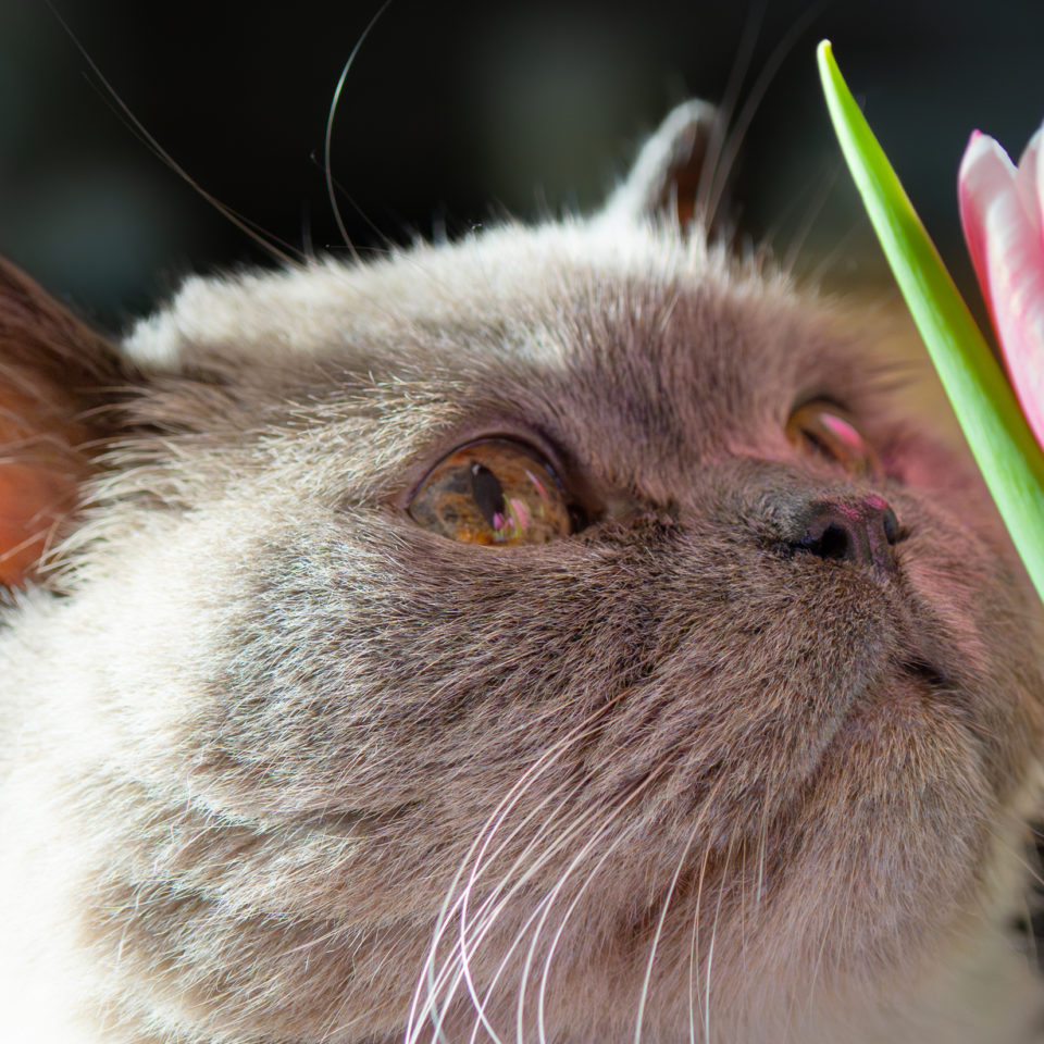 Februar 2024 – Einfach mal probiert