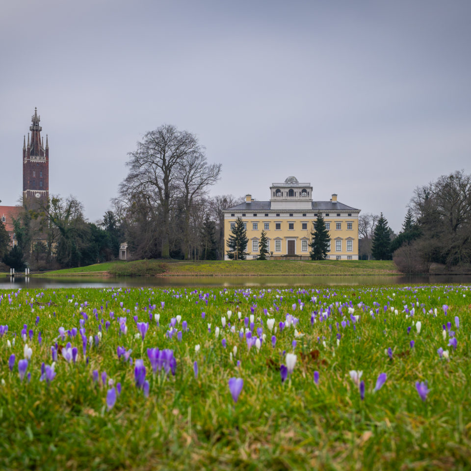 März 2024 – Wörlitzer Park