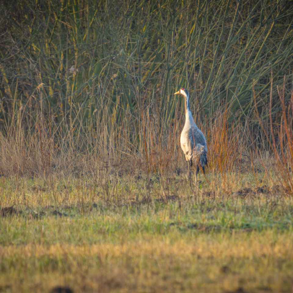 März 2024 – Halbinsel Pouch