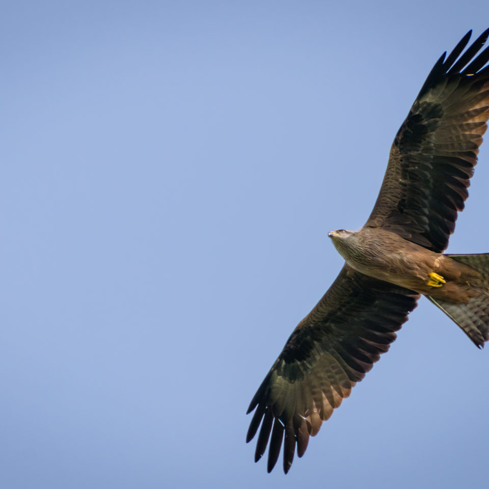 April 2024 – An der Mulde