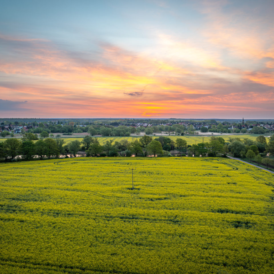 April 2024 – Rapsblüte