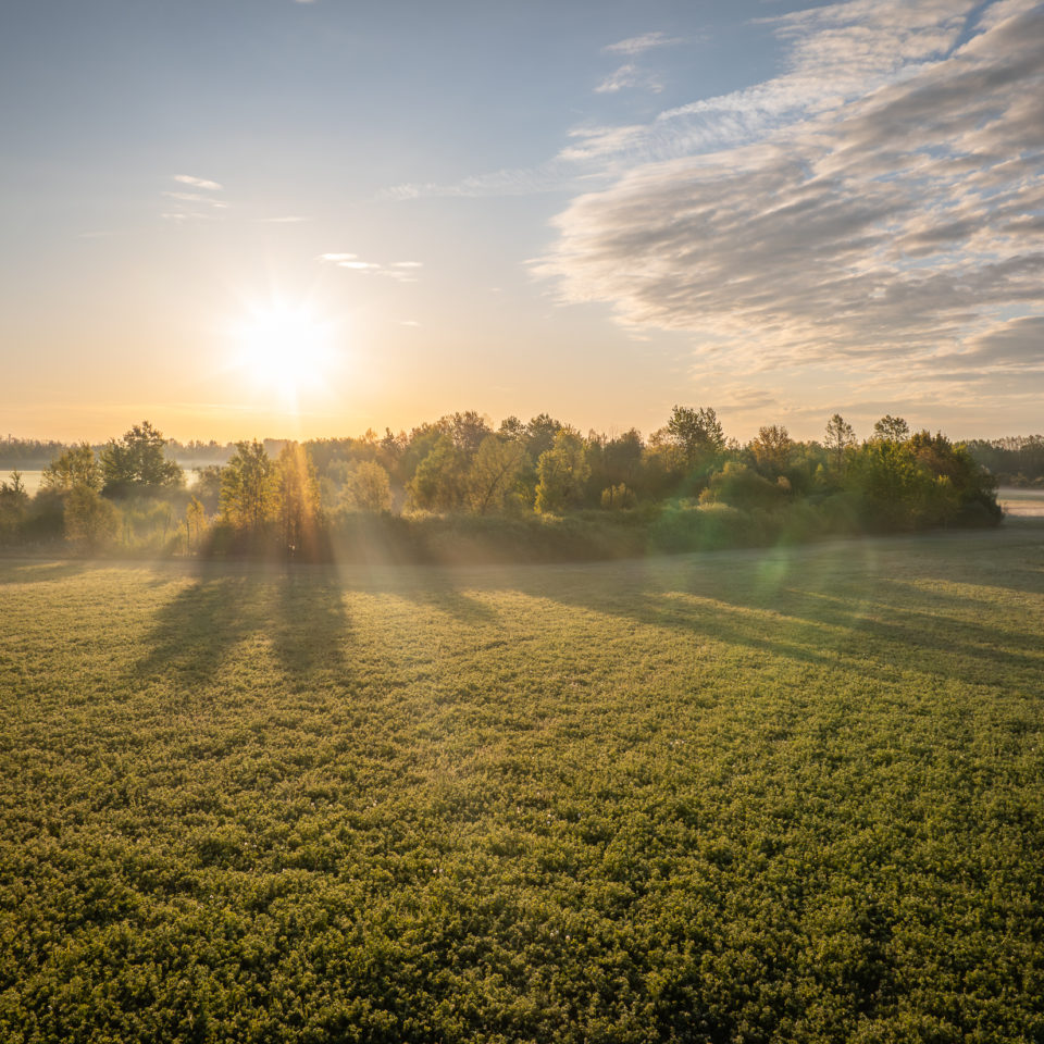 April 2024 – Frühling I