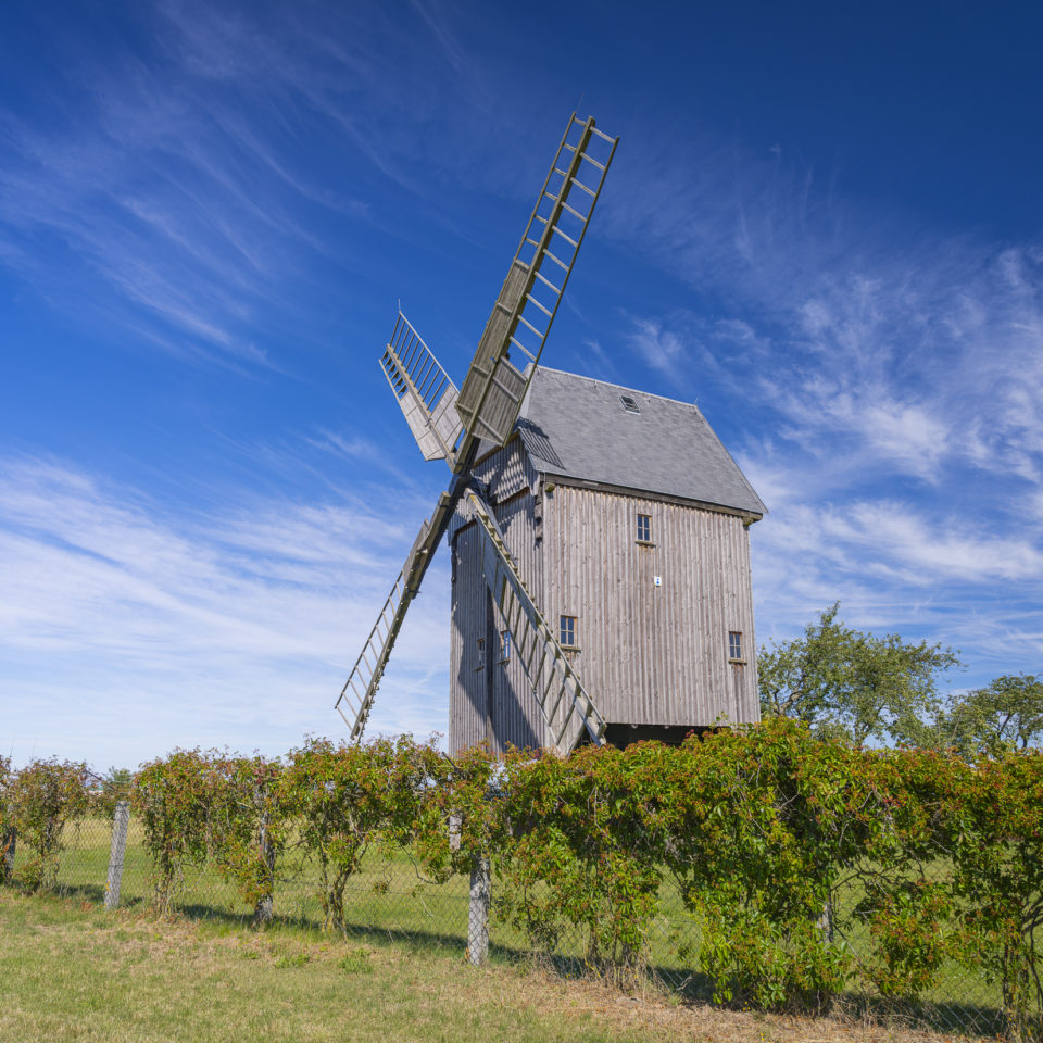 Juli 2024 – Nordsachsen