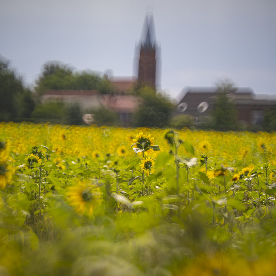 Juli 2024 – Kleine Sonntagsrunde