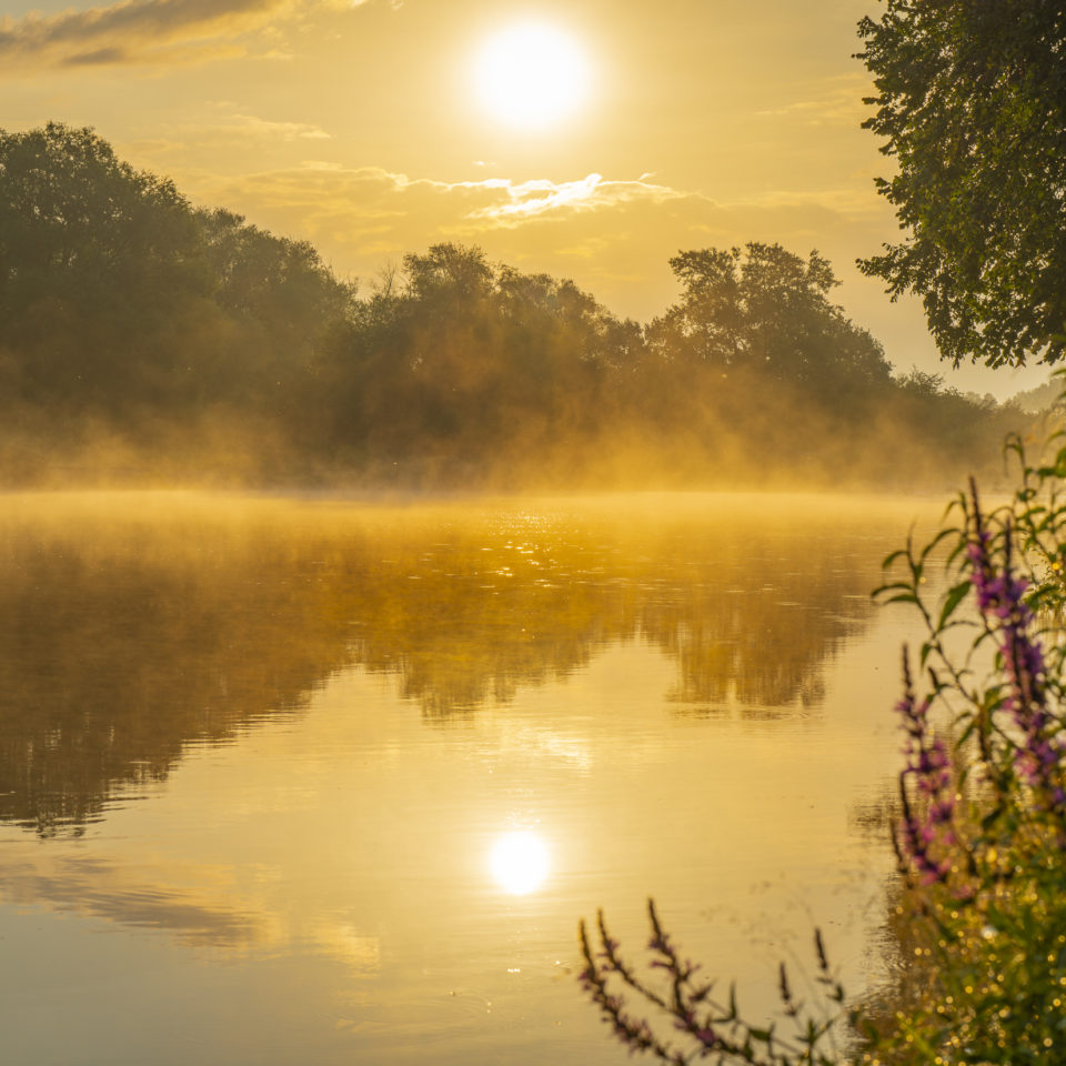 August 2024 – Morgenrunde an der Mulde