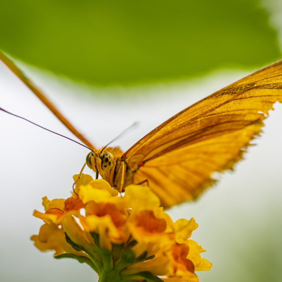 August 2024 – Alaris Wittenberg