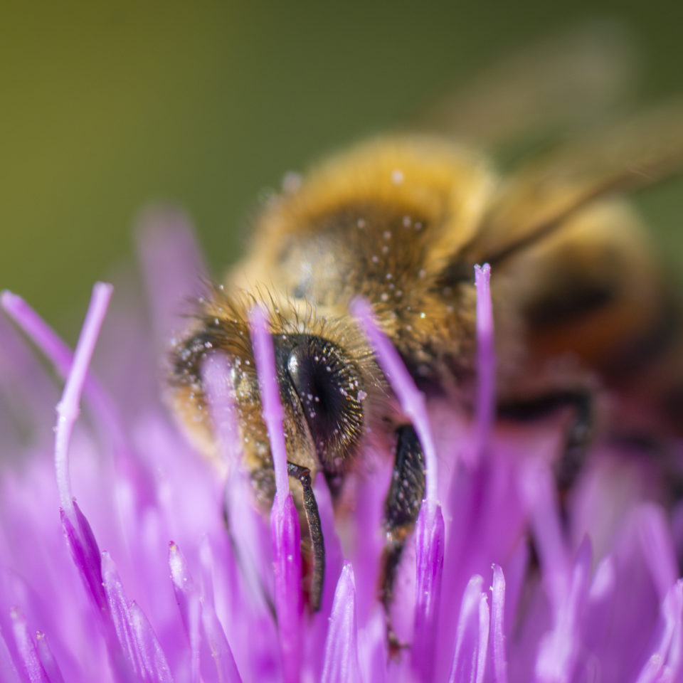 September 2024 – Naturfotografie