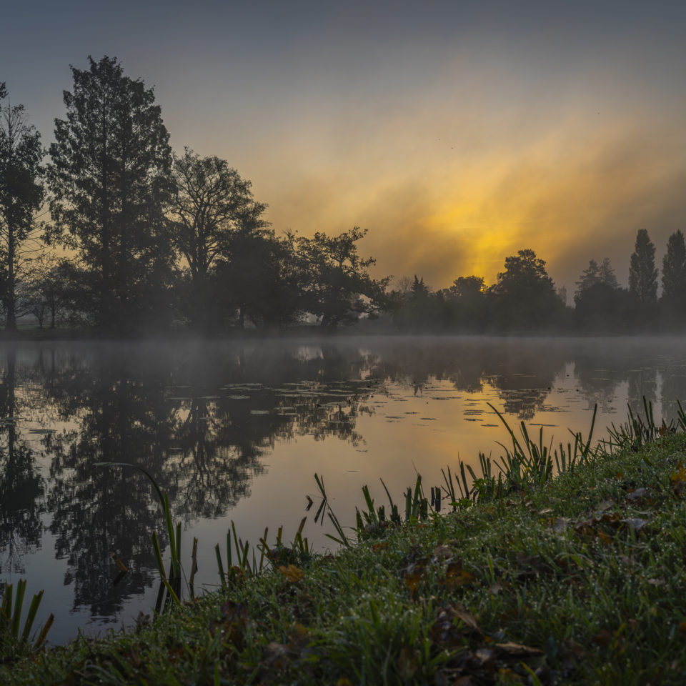 Oktober 2024 – Herbst im Wörlitzer Park