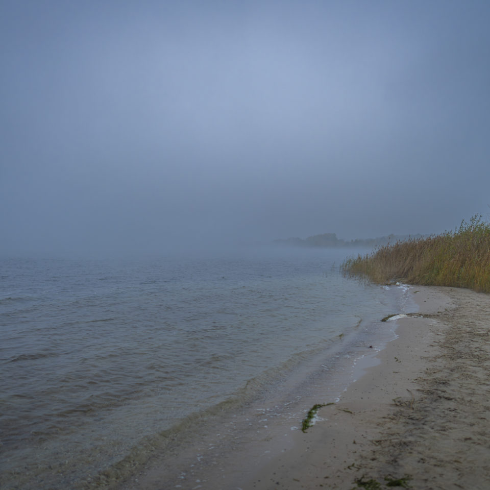 November 2024 – Nebelstimmung