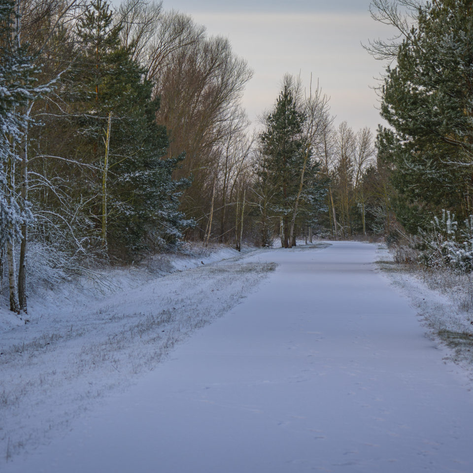 Januar 2025 – Der erste Schnee