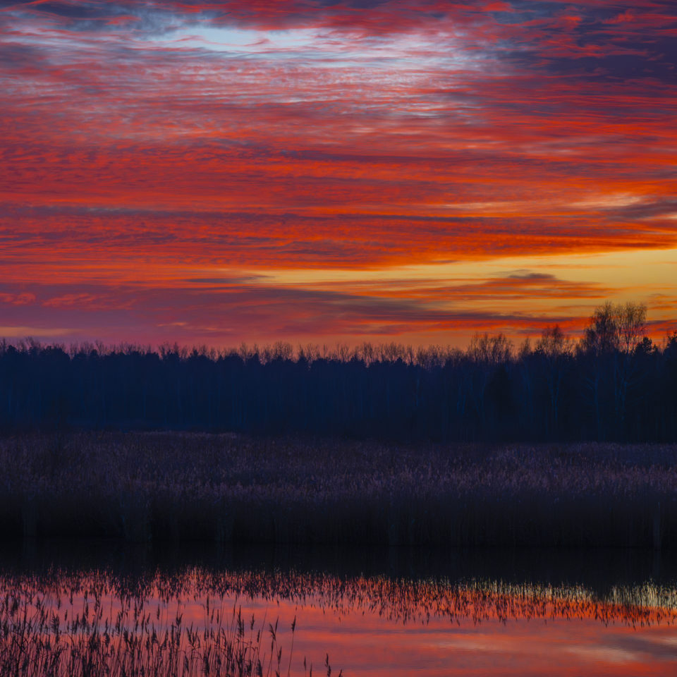 Januar 2025 – Der Himmel brennt