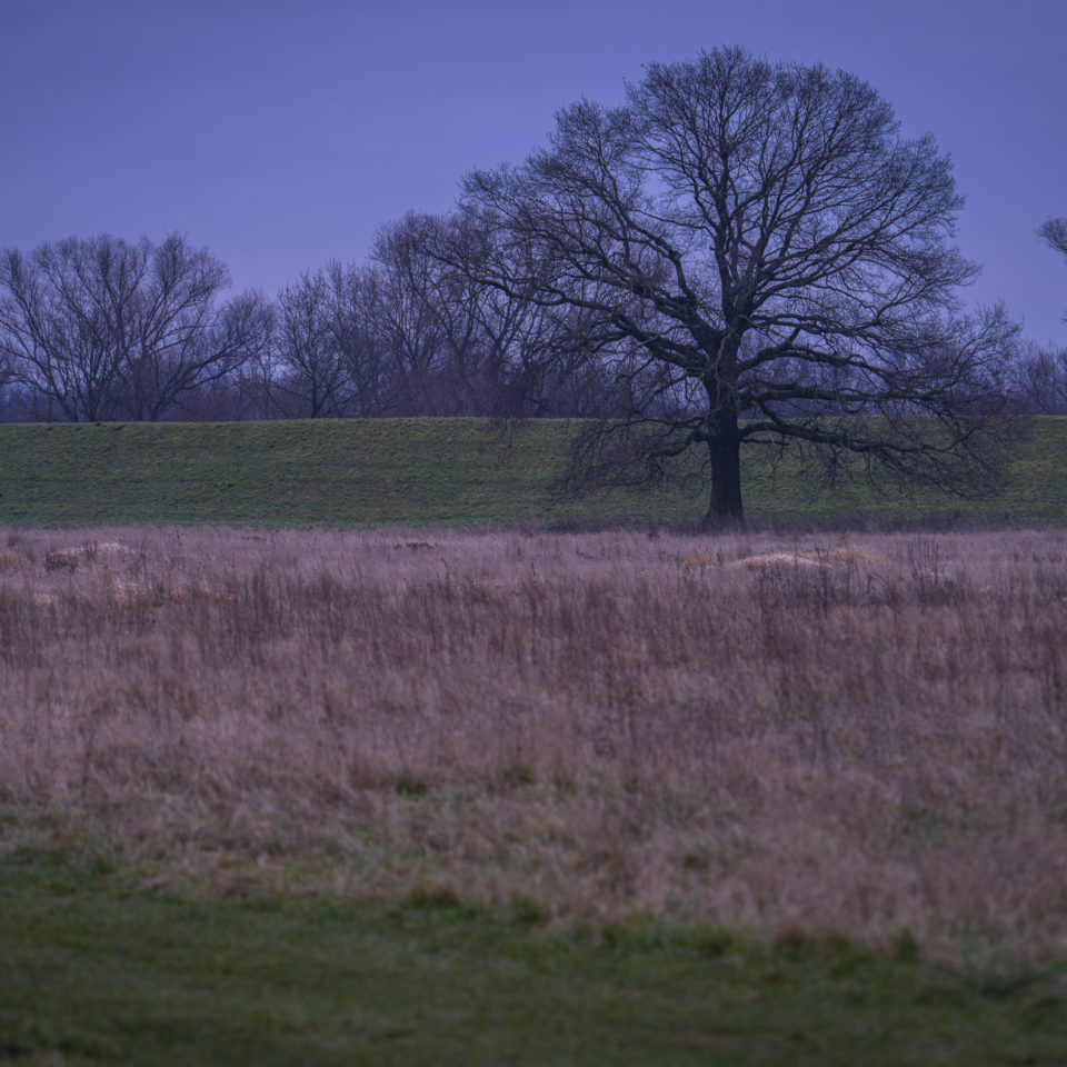 Februar 2025 – Alles grau in grau