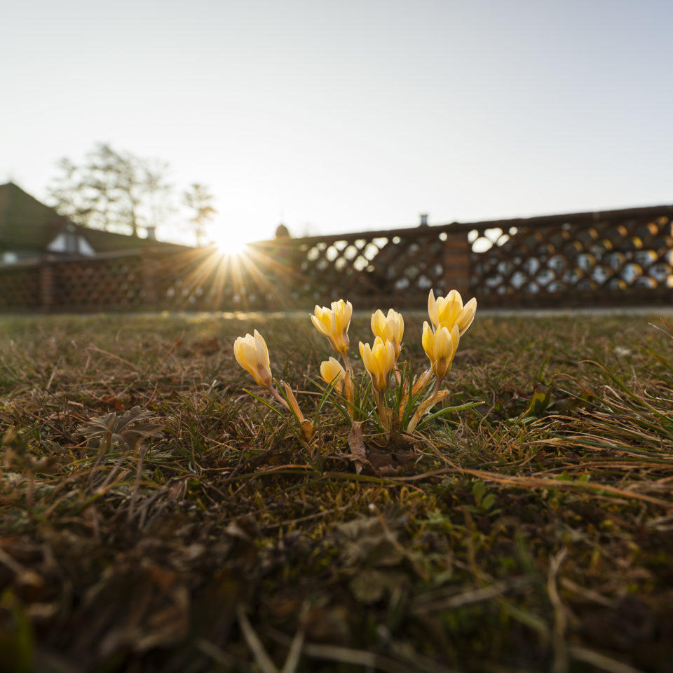 März 2025 – Schlosspark Oranienbaum
