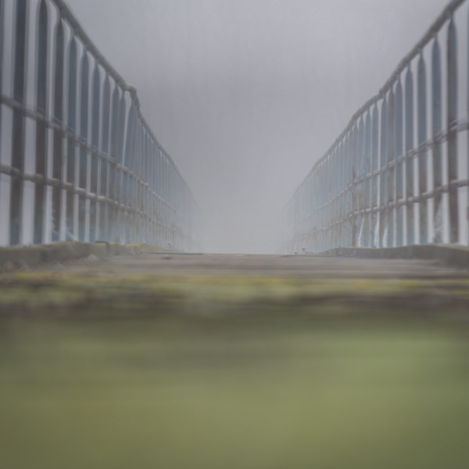 März 2025 – Morgennebel