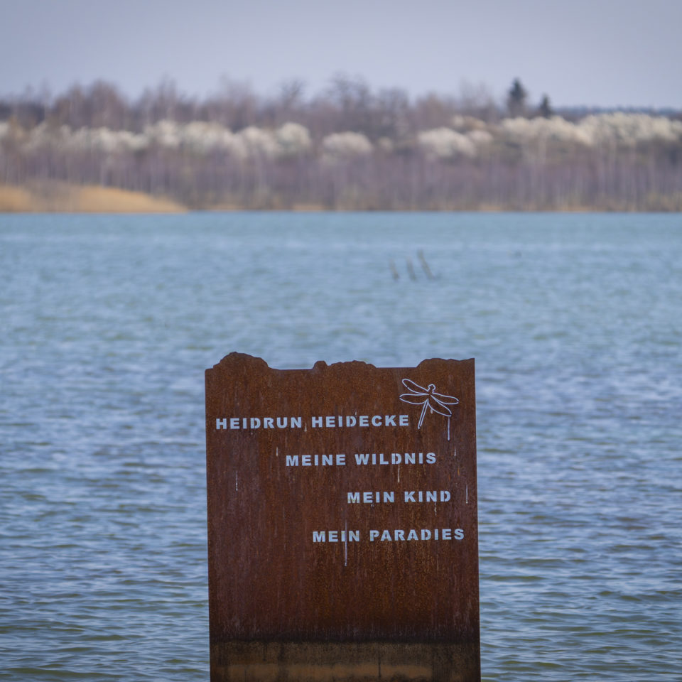 April 2025 – Goitzsche Wildnis