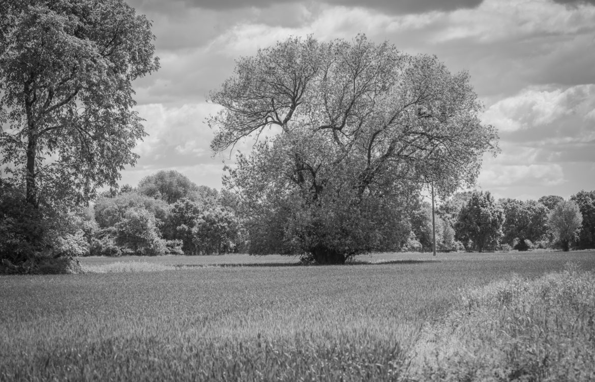 Kreativität beginnt dort, wo es leise wird