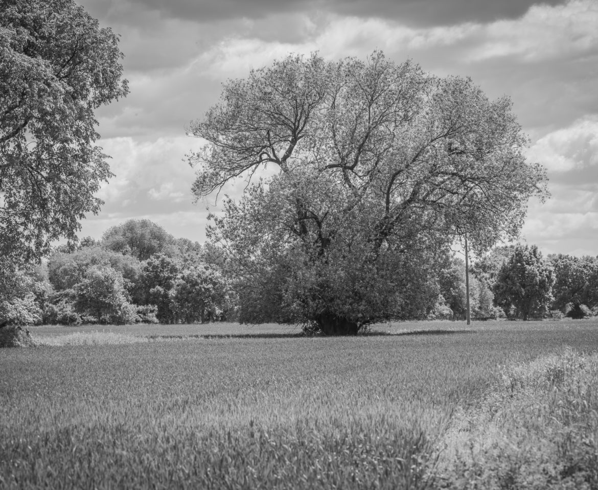 Kreativität beginnt dort, wo es leise wird