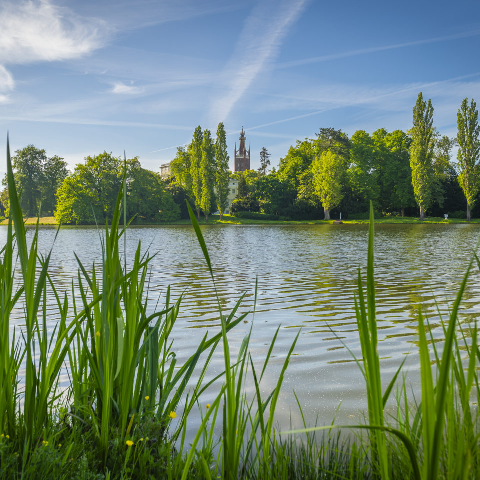 Mai 2025 – Frühling in Wörlitz