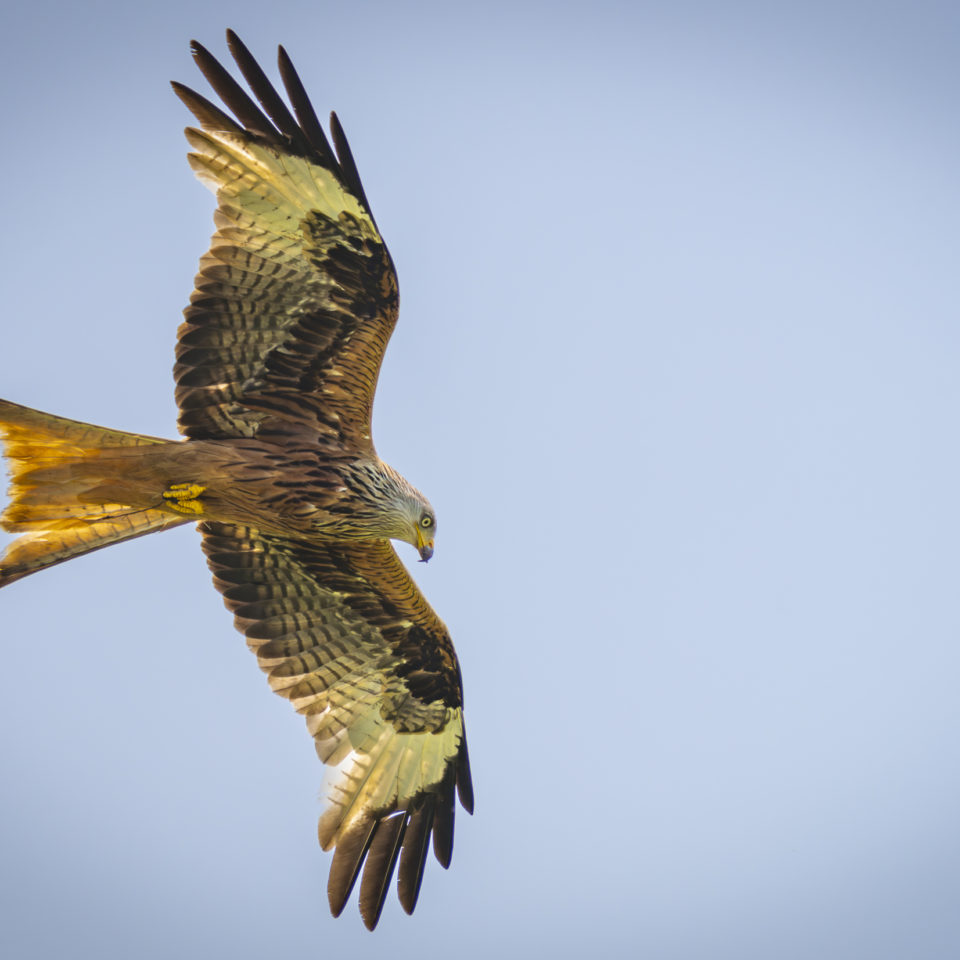 Juni 2025 – An der Mulde