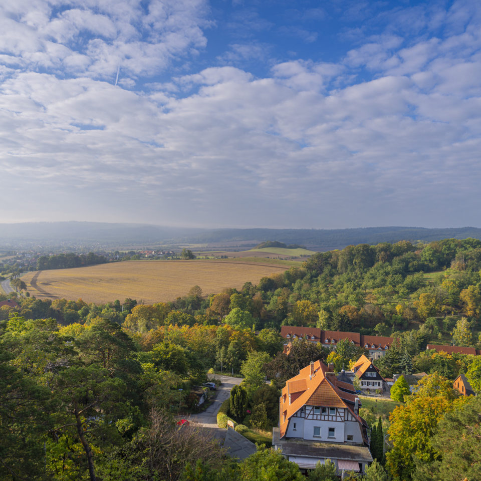 September 2025 – Im Harz (Blankenburg)